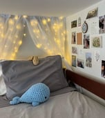 Blankets and stuffed animals make dorm beds cozy!