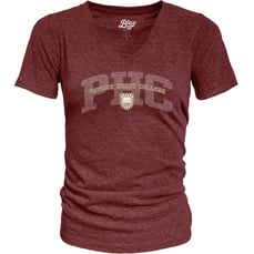 Ladies V-Neck Tee Maroon